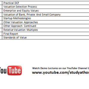 Financial Modeling & Valuation - Image 3