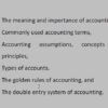 Computerised Accounting System for B.Com DU (Delhi University) by CA Raj K Agrawal - Image 2