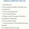 Financial Accounting & Analysis for BBA DU (Delhi University) by CA Raj K Agrawal - Image 2